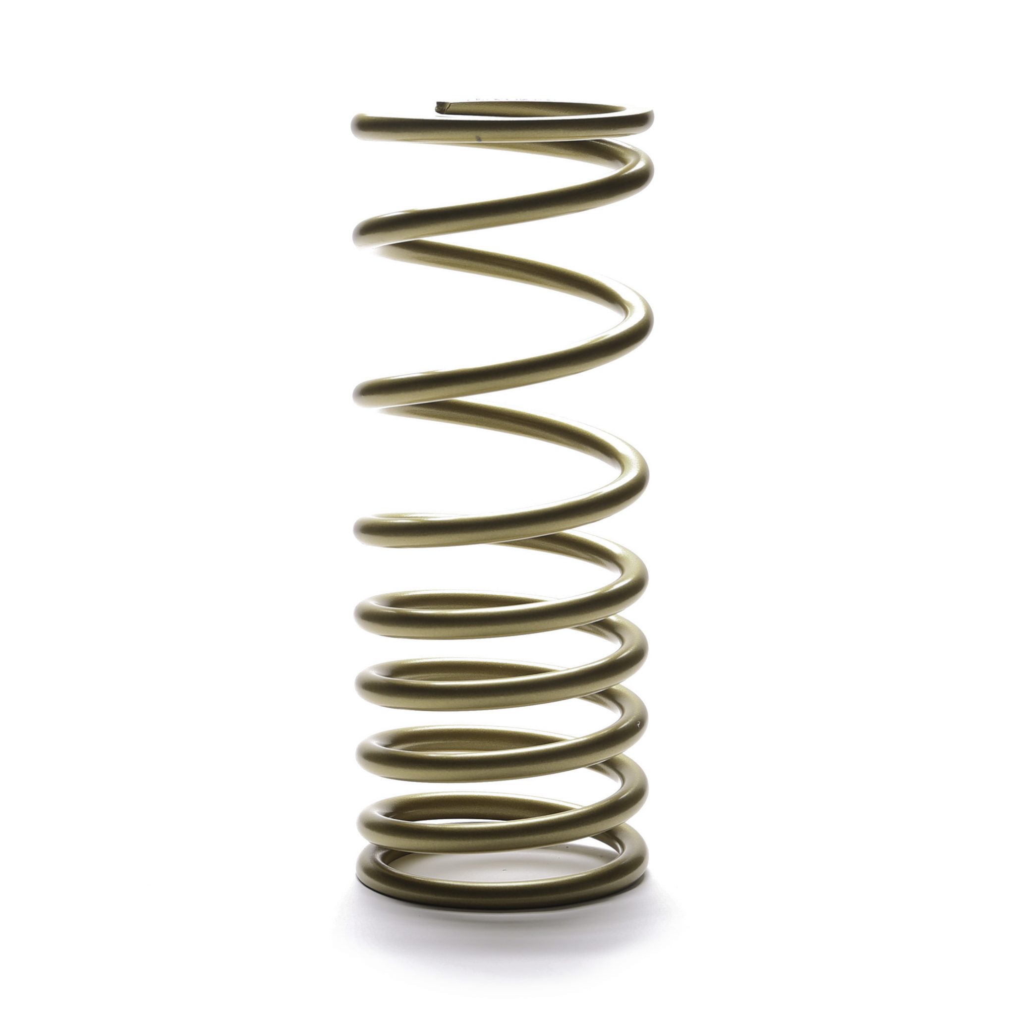 Progressive Coil Springs Landrum