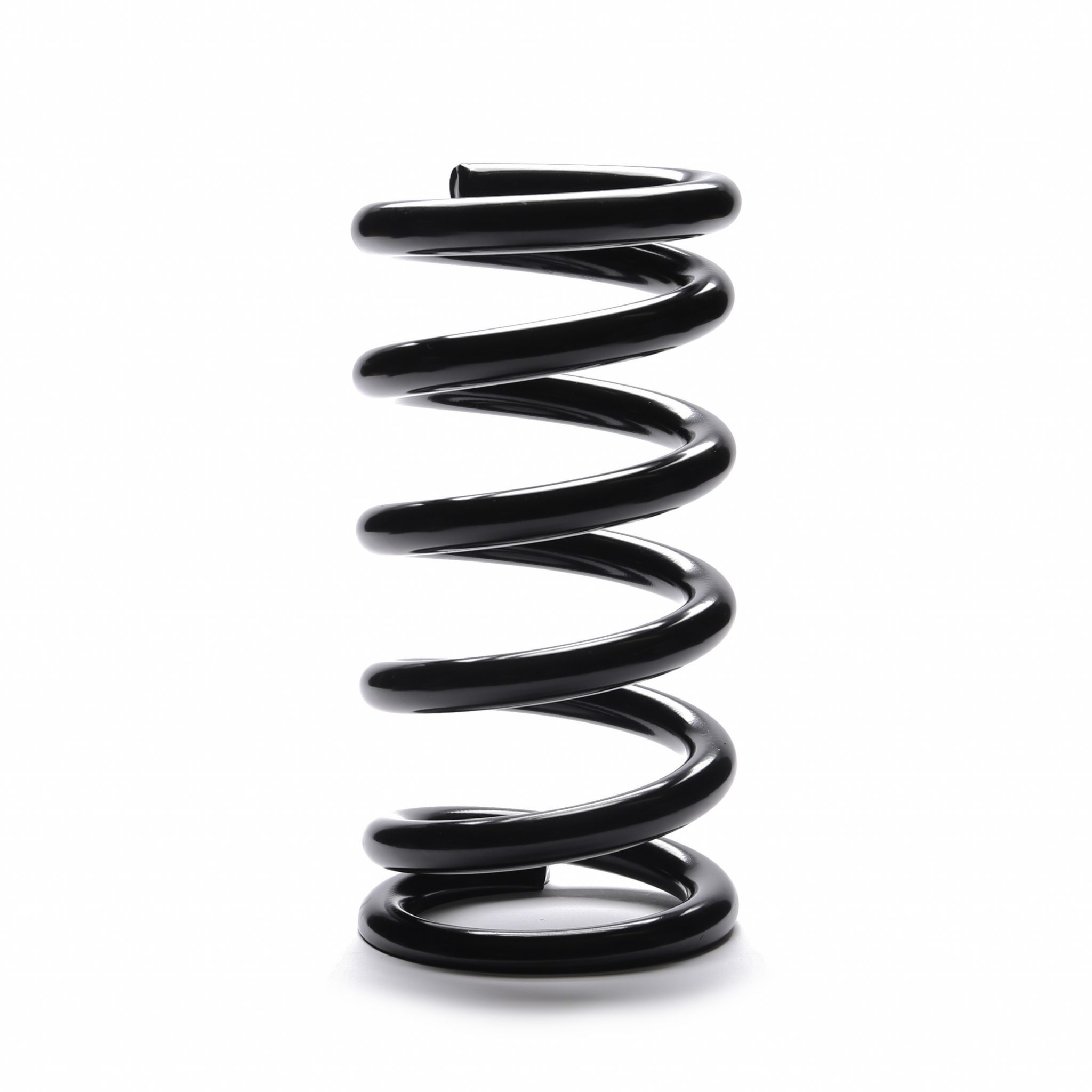 Progressive Coil Springs Landrum